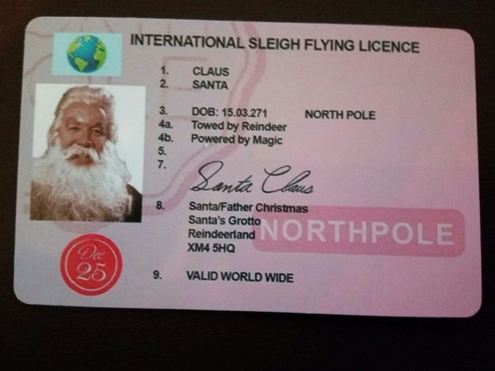 Santa Claus Lost Sleigh Flying Licence