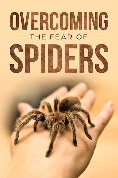 Overcoming Your Fear Of Spiders