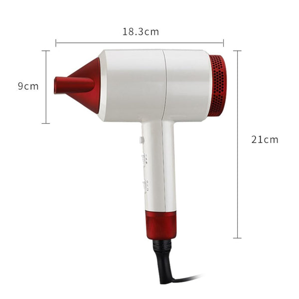 Negative Ion Hair Dryer Professional Blow Dryer with Mirror