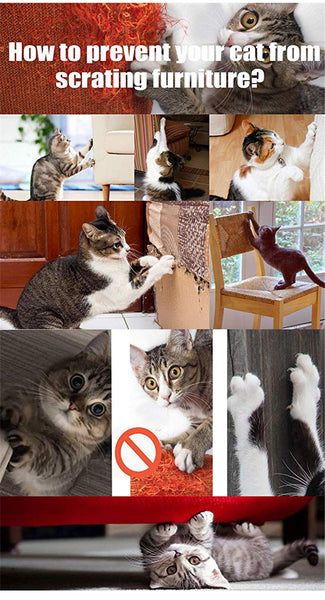 Furniture Protect Cat Scratch Board
