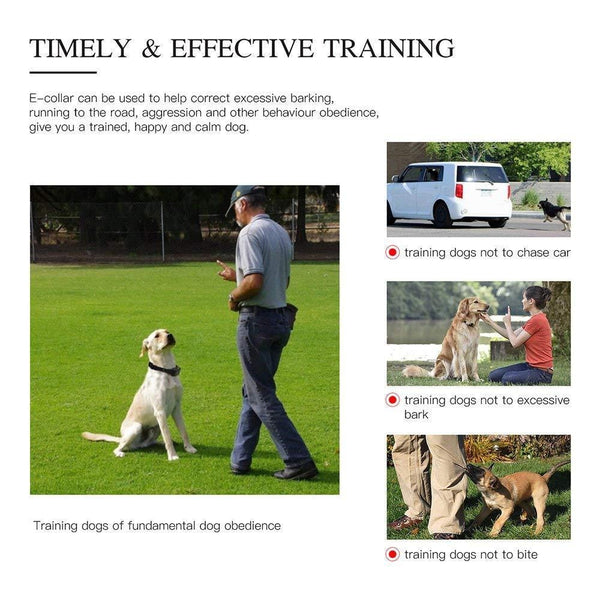 Electric Pet Dog Training Collar