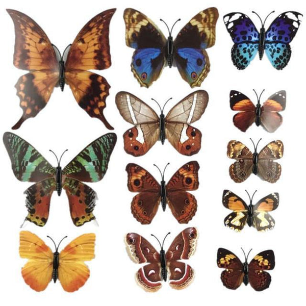 Butterflies DIY Home Decor