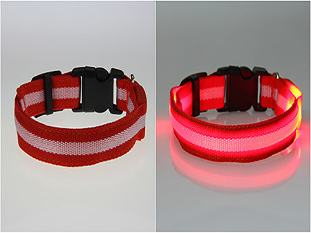 Premium Glow In The Dark LED Dog Safety Collar