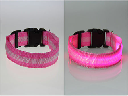 Premium Glow In The Dark LED Dog Safety Collar