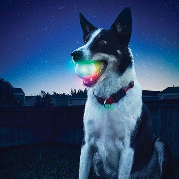 LED Lighting Glowing Rubber Dog Ball Toy Outdoor Training&  Chew Bite