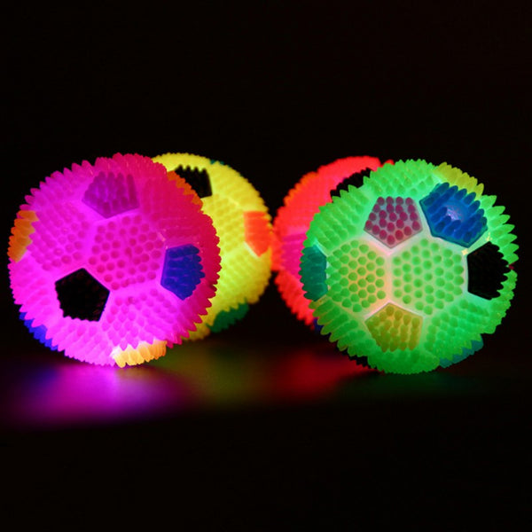 Flashing Bouncy Ball LED Light For Dogs